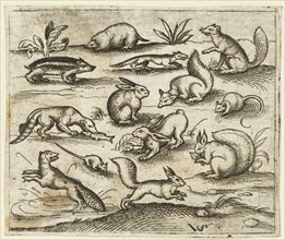 Group of small woodland creatures eating and running around a pond, including a mouse, rabbit, squirrel, racoon, woodchuck, ferret, marten, and badger, 1557. From Douce Ornament Prints Album I.
