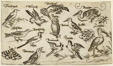 Twelve types of birds, including an owl and pelican, individually labelled and positioned on a minimal ground surrounded by a moth, butterfly, and ladybug, 1572. From Douce Ornament Prints Album I.