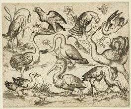 Ostrich on left side with nine other birds, including a heron and a pelican, depicted on a minimal ground with patches of foliage around some of the birds, after 1557. From Douce Ornament Prints Album...
