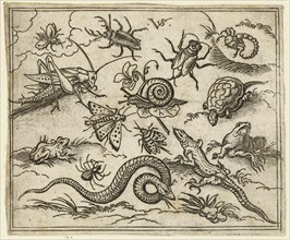 Group of insects and reptiles on plain ground with rocks, including an iguana, a lizard, a snake, a turtle, a scorpion, a snail, a spider, a beetle, and a cricket, 1557. From Douce Ornament Prints Alb...