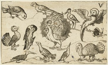 Peacock in centre surrounded by nine other birds, including a turkey, and a butterfly on a minimal ground with a small patch of grass, after 1572. From Douce Ornament Prints Album I.