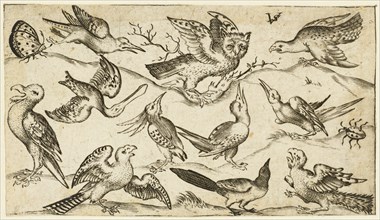 Eleven birds and two insects on minimal ground with owl with wings outstretched sitting on a branch in centre with other birds surrounding and teasing owl, after 1572. From Douce Ornament Prints Album...