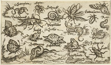 Insects, reptiles, snails, and fish on minimal ground with water in foreground, animals include a snake, turtle, cricket, frog, bee, scorpion, and caterpillar, 1572. From Douce Ornament Prints Album I...