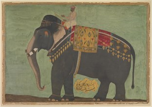 Portrait of the Elephant 'Alam Guman, ca. 1640.