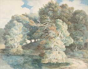 Trees by the Lake, Peamore Park, near Exeter, Devon, 1790-1810.