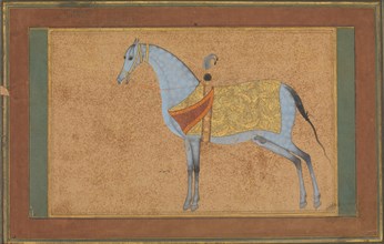 A Stallion, ca. 1601-6.