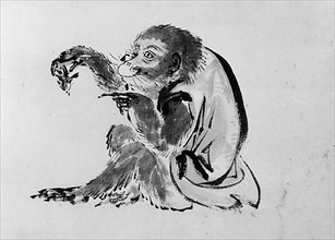 Monkey and Bee, 19th century.