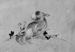 Pekingese, 19th century.
