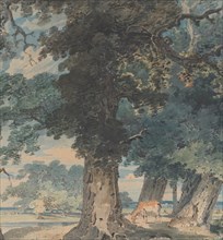 Deer in Windsor Forest, 1793-94.