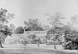 Greenhouse, David Hosack Estate, Hyde Park, New York (from Hoasack Album), ca. 1832.