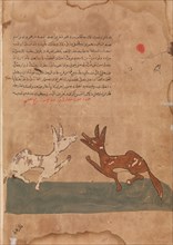Kalila and Dimna Discussing Dimna's Plans to Become a Confidante of the Lion, Folio from a Kalila wa Dimna, 18th century.