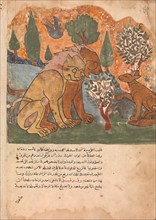 The Lion king, With his Mother, Receives Dimna, Folio from a Kalila wa Dimna, 18th century.