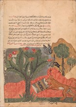 The Fox and the Drum, Folio from a Kalila wa Dimna, 18th century.