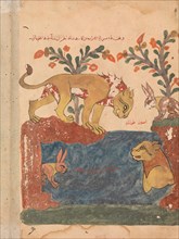 The Hare, the Lion, and the Well, Folio from a Kalila wa Dimna, 18th century.