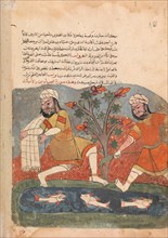 The Fish and the Fisherman, Folio from a Kalila wa Dimna, 18th century.