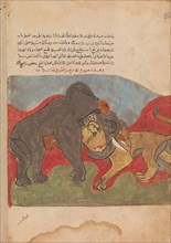 The Lion and the Elephant Fighting, Folio from a Kalila wa Dimna, 18th century.