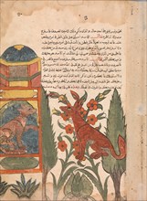 Kalila Visits the Imprisoned Dimna, Folio from a Kalila wa Dimna, 18th century.