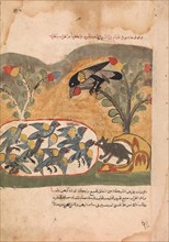 The Mouse Gnaws the Net Imprisoning the Doves, Folio from a Kalila wa Dimna, 18th century.