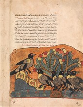 The Crow King Consults his Ministers, Folio from a Kalila wa Dimna, 18th century.