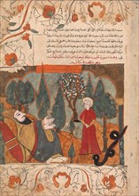 The Old Snake Tells the Tale of Biting the Ascetic's Son by Mistake, Folio from a Kalila wa Dimna, 18th century.