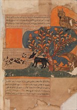 The Trapped Cat and the Frightened Mouse (Rat ?), Folio from a Kalila wa Dimna, 18th century.