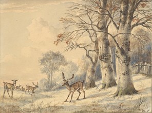 Deer under Beech Trees in Summer, 1853.