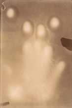 [Effluvia from a Hand Resting on a Photographic Plate], 1898-99.