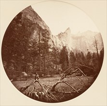 [Yosemite National Park, California], ca. 1878.