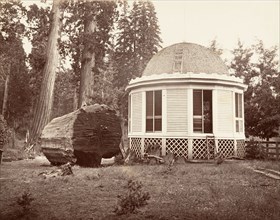 The House Built over the Stump of a Big Tree, 1865-66, printed ca. 1876.