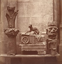 Le Chat Momifié (trouvé dans les fouilles de Saint-Germain-en-Laye), ca. 1862.