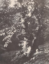 Homme allongé au pied d'un chàtaignier, 1850-53.