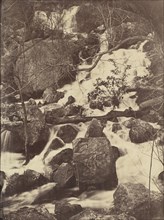 [Trees and Waterfalls], 1860-65.