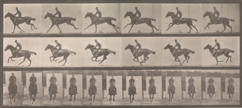 [Horse and Rider Galloping], 1883-86, printed 1887.