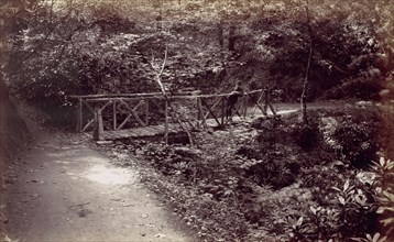 Colwyn Bay. Rustic Bridge in the Wood, 1870s.