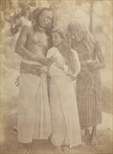 [Ceylonese Group by a Tree], 1878.