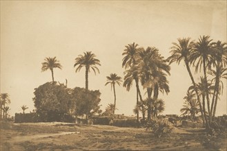 Vue du Village de Hamarneh, près de Dendérah (Rive droite), 1849-50.