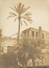 Dattiers et Maison du quartier Franc, au Kaire, December 1849-January 1850.