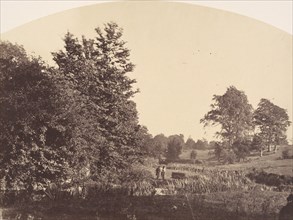 The Woodland Stream, 1856.