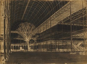 Crystal Palace, Hyde Park, Transept, 1852.