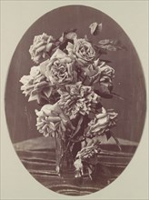 [Roses], ca. 1875.