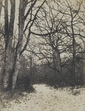 [Fontainebleau Forest], ca. 1860.