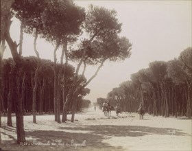 Promenade des Pins à Beyrouth, ca. 1870.