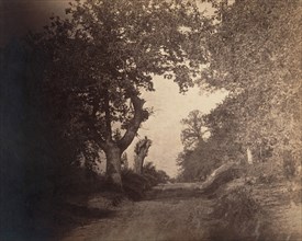 Fontainebleau, chemin sablonneux montant, ca. 1856.
