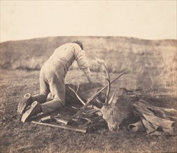 Jack Gralloching a Stag, ca. 1856-58.