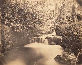 View in the Gardens at Netherley, ca. 1856-59.