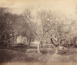 Glen Forsa, Isle of Mull, ca. 1858.