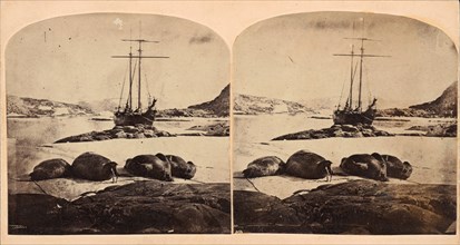 Scène de la mer glacial, ca. 1859.