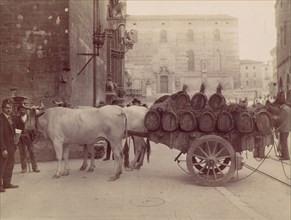 Carro con buoi, Perugia, 1880s.