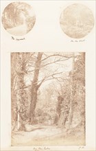 The Approach; In the Wood; By the Lake, 1853-56.