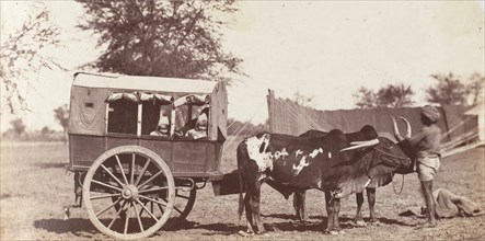 [Campbell Twins in a Shigram, Governor General's Camp], 1858-61.